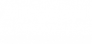 Fusión