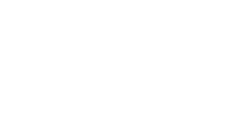 Fusión